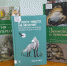 Книжная выставка «Новинки ноября» - Библиотека им. А.М. Горького