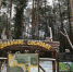 В Перми закончена реновация комплексного места отдыха «Большое сосновое» - Управление экологии Перми