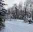 article20620.jpg - 59i.Ru