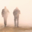 В мэрии Соликамска уволили еще одного чиновника - Ветта