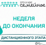 Семьи из Прикамья приглашают присоединиться к дистанционному этапу конкурса «Это у нас семейное» - Администрация губернатора