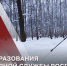 Генерал-полковник Сергей Бойко поздравил инженеров Росгвардии с профессиональным праздником - Росгвардия