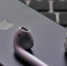 Мэрия Перми ищет, кто будет уничтожать технику Apple - Про Город Пермь