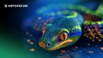 Приглашаем абитуриентов на мастер-класс по Python!