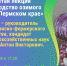 Открытая лекция «Семеноводство озимого чеснока в Пермском крае» - ПГСХА