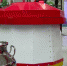 Выставка-форум "Агротехнологии-2024" собрала участников из 33 городов России - Вести-Пермь