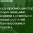 11 Семинар по вопросам организации борьбы с опасными вредителями древесных и травянистых растений на урбанизированных территориях: новые подходы и практические решения - Рослесозащита Пермского края