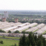Свинокомплекс Пермский - Новый Компаньон