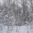 article20853.jpg - 59i.Ru