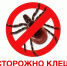 Осторожно, клещи! - Газета Наша жизнь