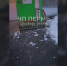 news-details - Вести-Пермь