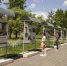 article20870.jpg - 59i.Ru