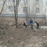 Владельцы участков в пермском Саду Соловьёв начали массовую вырубку деревьев - Ветта