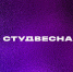Браво, «звезды» АгроТехноУнивера! - ПГСХА