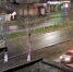 В Перми полицейские устроили погоню за мотоциклистом по тротуарам - V-Kurse.Ru