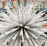 Фонтан Одуванчик ПГНИУ - Новый Компаньон