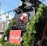 В Пермь прибыл «Эшелон Победы» - V-Kurse.Ru