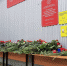 article20977.jpg - 59i.Ru
