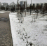 article20994.jpg - 59i.Ru