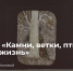 1 - Новый Компаньон