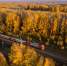 Под Кунгуром пермяка сбил поезд - V-Kurse.Ru