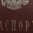 Жительница Пермского края вступила в борьбу за своего мужа-грека, которому грозит депортация из России. - Про Город Пермь
