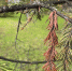 article21032.jpg - 59i.Ru