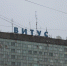 Витус - Новый Компаньон