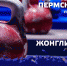 Афиша гиревой 2024.jpg - Центр спортивной подготовки