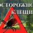 КЛЕЩ: НЕВИДИМЫЙ, НО ОПАСНЫЙ ВРАГ! - ГБУЗ ПК ГКП №5