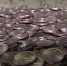 news-details - Вести-Пермь