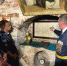 Курсанты Пермского института ФСИН России посетили постоянно-действующую историческую экспозицию ГУФСИН России по Пермскому краю в городе Соликамск - Пермский институт ФСИН России