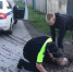 В Чусовом полицейский помог прохожему, у которого был приступ эпилепсии - Новости Перми PermNews.Ru