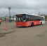 P1050251 - Новый Компаньон
