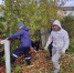 Осужденные ИЦ-2 ГУФСИН России по Пермскому краю принимают участие в волонтерском движении - УФСИН по Пермскому краю