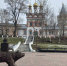 ​В Соликамске в течение месяца начнет работу инспекция по контролю за правилами благоустройства - Business Class