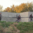 5f07bc38-cf22-43fb-9f86-c55d97ea51c4 - Новый Компаньон