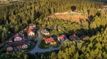 aerial-shot-buildings-surrounded-by-trees