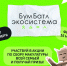 Жители девяти территорий Прикамья присоединились к Всероссийской акции «БумБатл» - Администрация губернатора