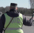 Жительница Перми получила 59 штрафов за нарушения ПДД - Ветта