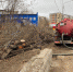 image_1729664767 - Новый Компаньон