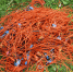 JPG Файл - ГУ МВД Пермского края 