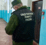 В Пермском крае возбуждено уголовное дело по факту ранения школьника из пневматической винтовки - Про Город Пермь