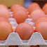 Куриные яйца в дверце холодильника — почему так хранить продукт опасно - Про Город Пермь