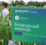 Эксперимент по внесению аммиака - Новый Компаньон
