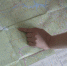 В Перми нашли 15-летнюю девочку, которая сбежала из дома в сентябре - Про Город Пермь