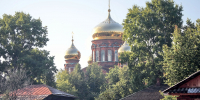 Оса - Новый Компаньон