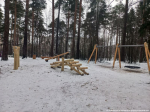 Чаша, площадка, Черняевский лес