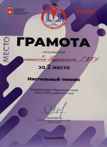 Универсиада Пермского края. Настольный теннис