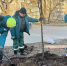 В Перми подвели итоги осенней озеленительной кампании - Комсомольская Правда